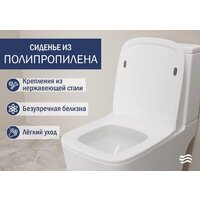 Lauter W09 S-TRAP с полипропиленовым сиденьем и микролифтом 21900003 (вертикальный выпуск) Image #4