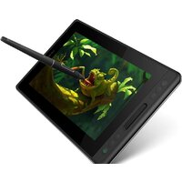 Huion Kamvas Pro 12 GT-116 Image #2