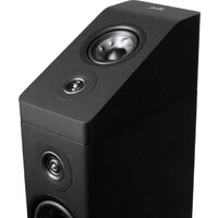 Polk Audio Reserve R900 (черный) Image #7