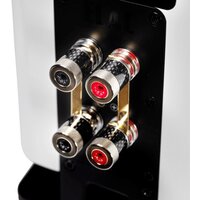 Elac Carina BS243.4 (белый) Image #6