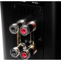 Elac Carina BS243.4 (черный) Image #7