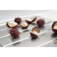 Alveus Zoom Maxim 30 Image #4