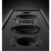  DALI Phantom M-250 - Превью изображения №6 — Интернет-магазин Your Sale