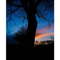 Fujifilm X-T50 Body (серебристый) Image #14