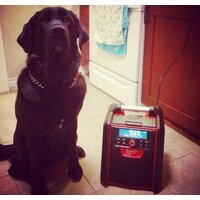 Milwaukee M18 RC-0 4933446639 (18В) Image #10