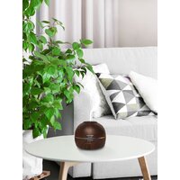 Concept ZV1006 Image #3