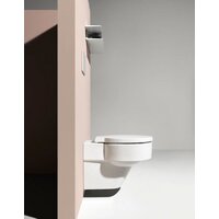 Laufen Val 8202810000001 (без сиденья) Image #2