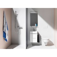 Laufen Val 8202810000001 (без сиденья) Image #4