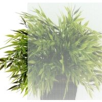 Triton Лайт А 100x100 с душевым комплектом (градиент) Image #4