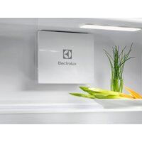 Однокамерный холодильник Electrolux Seria 600 KRD6DE18S1 - Превью изображения №7 — Интернет-магазин Your Sale