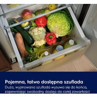 Однокамерный холодильник Electrolux Seria 600 KRD6DE18S1 - Превью изображения №5 — Интернет-магазин Your Sale