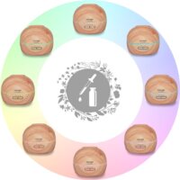 Concept ZV1005 Image #2