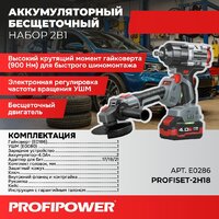 Profipower ProfiSet-2H20 E0286 (гайковерт, болгарка, 2 АКБ, кейс)