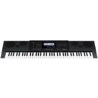 Casio WK-6600