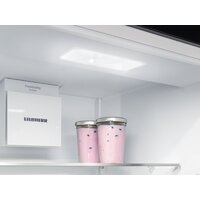 Холодильник Liebherr ICNd 5123 Plus NoFrost 5123-22001 - Превью изображения №12 — Интернет-магазин Your Sale
