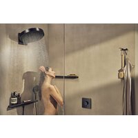 Hansgrohe 15572670 Image #2