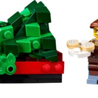 LEGO Icons 10325 Альпийский домик Image #11