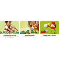 LEGO Duplo Креативный цветочный сад 10444 Image #12