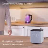 Яндекс Станция Миди (черный) Image #9