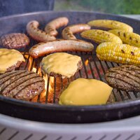 Гриль Weber Performer 1501630 - Превью изображения №6 — Интернет-магазин Your Sale