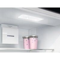 Холодильник Liebherr ICBSd 5122 Plus - Превью изображения №12 — Интернет-магазин Your Sale