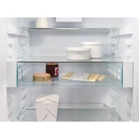 Холодильник Liebherr ICBSd 5122 Plus - Превью изображения №16 — Интернет-магазин Your Sale