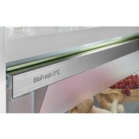 Холодильник Liebherr ICBSd 5122 Plus - Превью изображения №5 — Интернет-магазин Your Sale