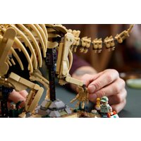 Конструктор LEGO Jurassic World 77985 Окаменелости динозавров: Трицератопс - Превью изображения №11 — Интернет-магазин Your Sale