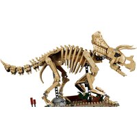 Конструктор LEGO Jurassic World 77985 Окаменелости динозавров: Трицератопс - Превью изображения №3 — Интернет-магазин Your Sale