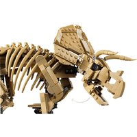 Конструктор LEGO Jurassic World 77985 Окаменелости динозавров: Трицератопс - Превью изображения №5 — Интернет-магазин Your Sale