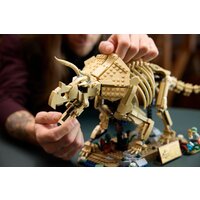 Конструктор LEGO Jurassic World 77985 Окаменелости динозавров: Трицератопс - Превью изображения №12 — Интернет-магазин Your Sale