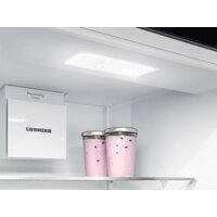 Холодильник Liebherr ICSf 5103 - Превью изображения №7 — Интернет-магазин Your Sale