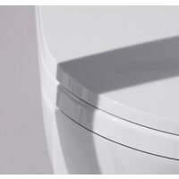 Laufen Cleanet Riva Rimless 8206914000001 Image #5