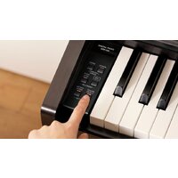Kawai KDP120 (палисандр) Image #4