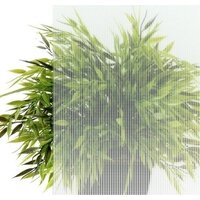 Triton Лайт А 100x100 (градиент) Image #4