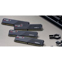 G.Skill Ripjaws S5 2x24ГБ DDR5 5200 МГц F5-5200J4040A24GX2-RS5K Image #5