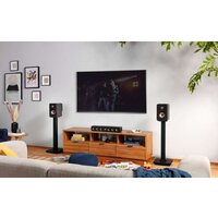 Polk Audio Signature Elite ES15 (чёрный) Image #9