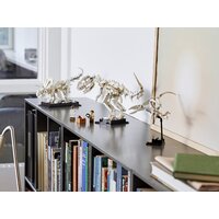 LEGO Ideas 21320 Кости динозавра Image #24