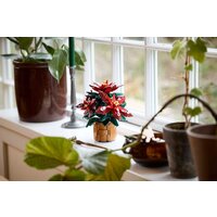 LEGO Icons 10370 Пуансеттия Image #6