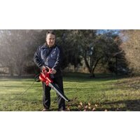 Einhell GC-EL 3000 E Image #2