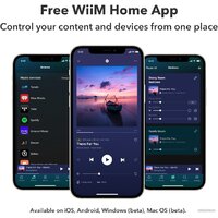 WiiM Amp (серый) Image #7