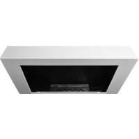 Infire Murall Image #2