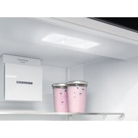 Холодильник Liebherr ICSe 5103 Pure 5103-20001 - Превью изображения №13 — Интернет-магазин Your Sale