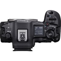 Беззеркальный фотоаппарат Canon EOS R5 Mark II Body - Превью изображения №3 — Интернет-магазин Your Sale