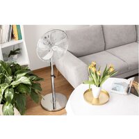 Sencor SFN 4040SL Image #12