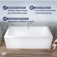 Lauter Olympia 180x80 21100080 (с ножками, лицевым и торцевым экранами) Image #3