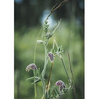 Olympus OM-5 Body (серебристый) Image #19