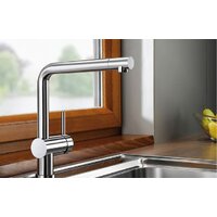 Blanco Linus-F (хром) Image #4