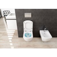 Deante Anemon CDZ 6ZPW (без сиденья) Image #2