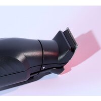 Remington Graphite PG2120 Image #5